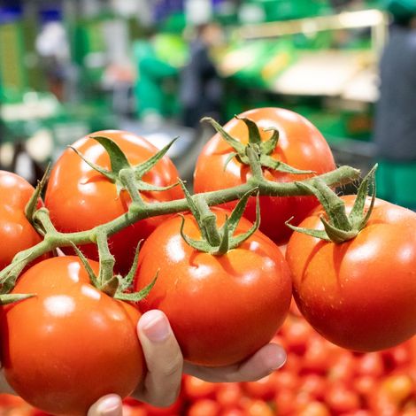 Frutas Patrícia Pilar, S.A. - Products