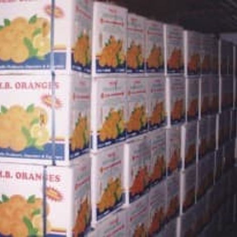 JMB Exporters Pakistan