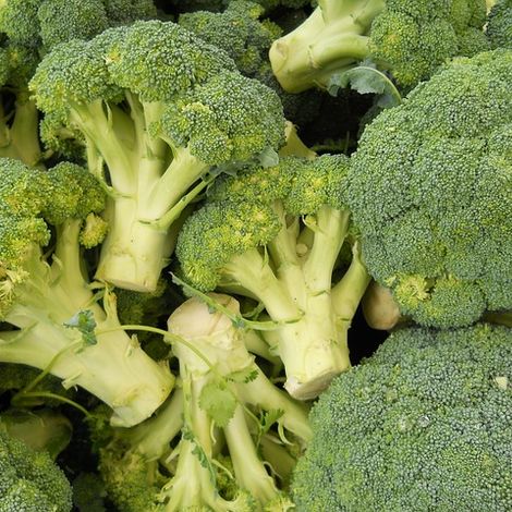 Peyfi-broccoli_640.jpg
