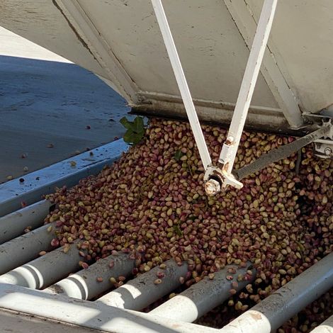 Keenan Farms - Pistachios