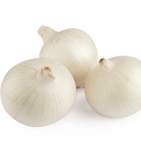 producto-grande-cebollablanca.png