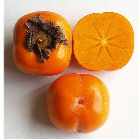 Frutas J. A. Mourinho, Lda
