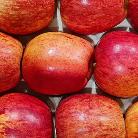 GEKO Fruchthandels GmbH