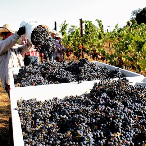 Cooper-Garrod Estate Vineyards