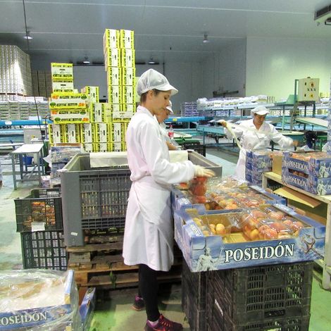 NOGAL FRUITS EXTREMADURA, S.L. - Facility