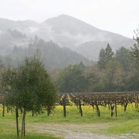 detert vineyard 4.jpg