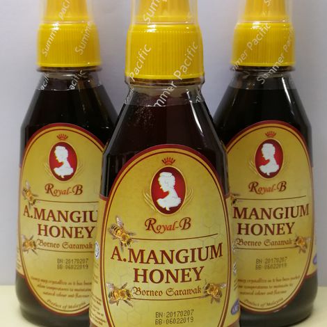 ROYAL-B ACACIA MANGIUM HONEY 370G