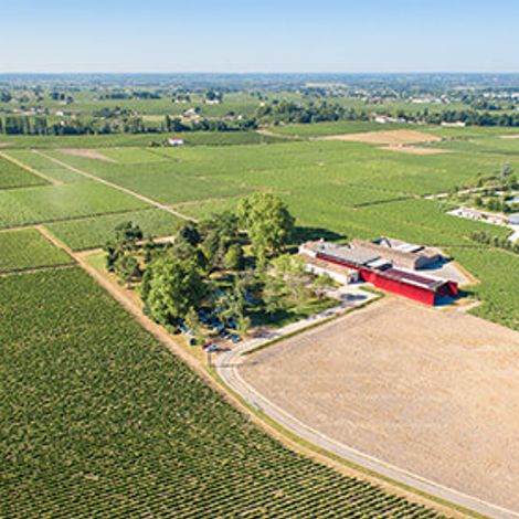 Château la Dominique