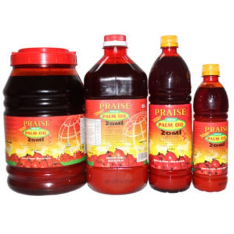 PRAISE EXPORT SERVICES LIMITED