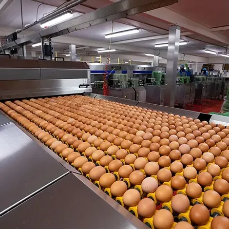 Annalitten Foods Ltd