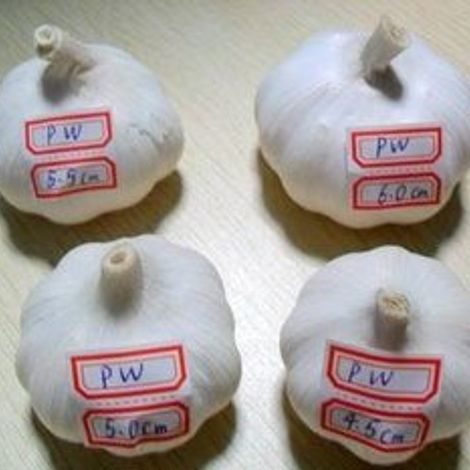 Linyi Changhong Imp. & Exp. Co., Ltd.