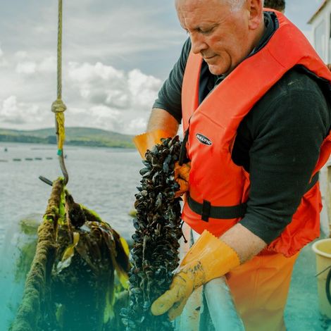 Bantry Bay Premium Seafoods - Harvested Product