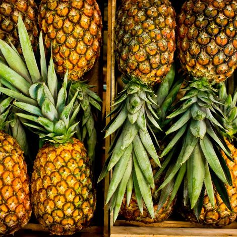 Hawaiian Md2 Pineapple