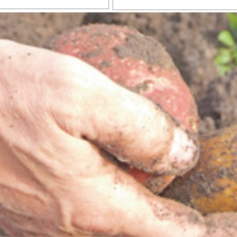 Agrarhandel Kunz GmbH