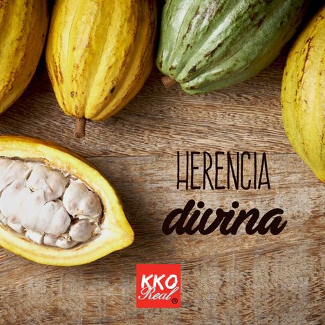 Processor Cacao Real, C.A.