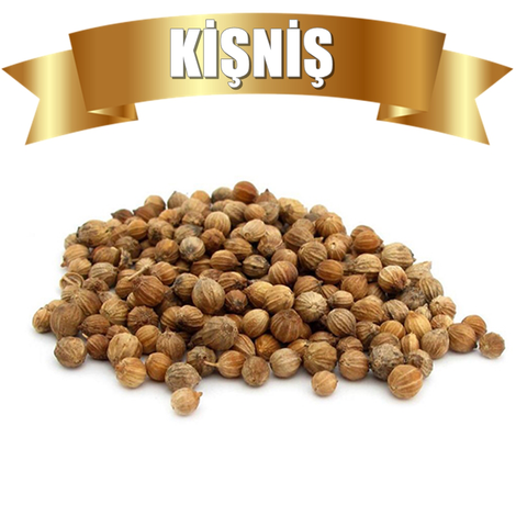 kisnis-24.png