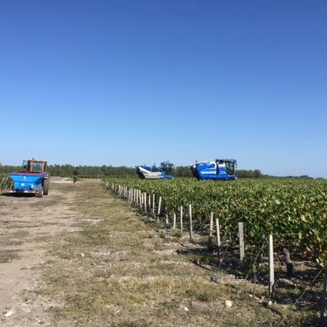 Château Cap Léon Veyrin