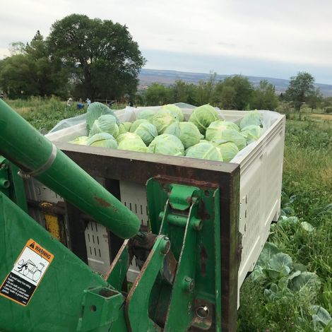 Farmhand Organics, LLC