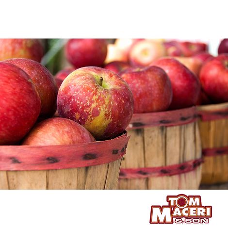 Tom Maceri & Son Inc