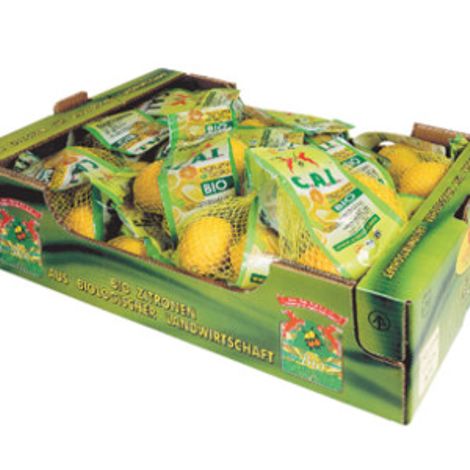 casstta-girsack-bio-460x300.jpg