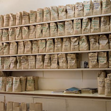 Thika Coffee Mills