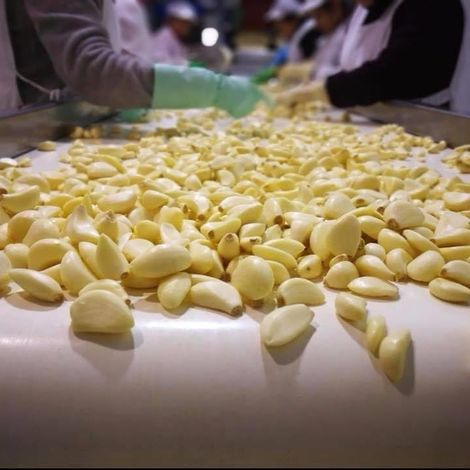 Hellas Quality Foods Ike - Production