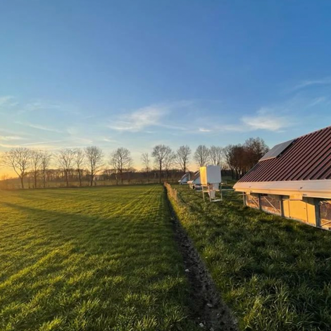 Farm