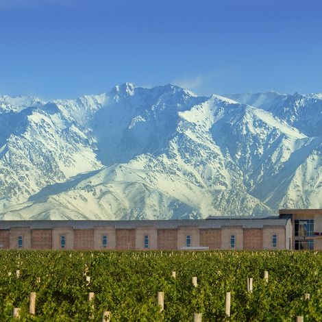 DOMAINE BOUSQUET VINEYARD.jpg