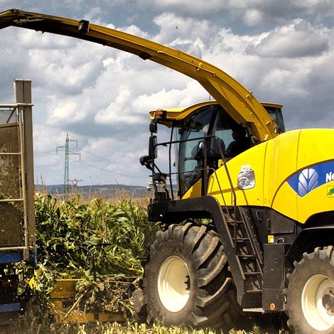 Harvest