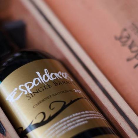 Espaldares del Maipo