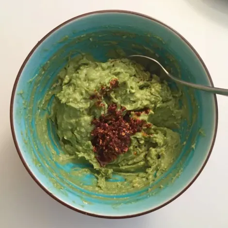 guacamole-sq_600x.webp