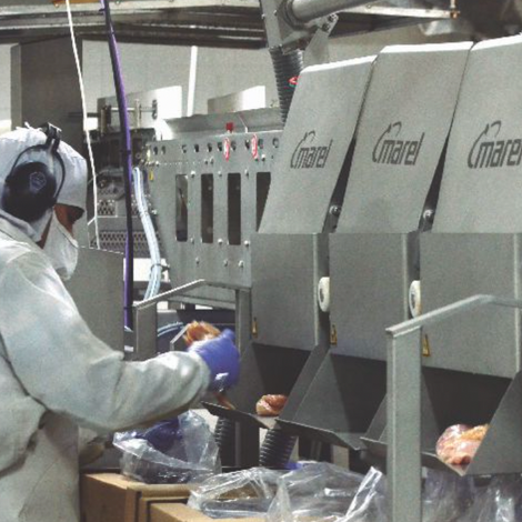 Production