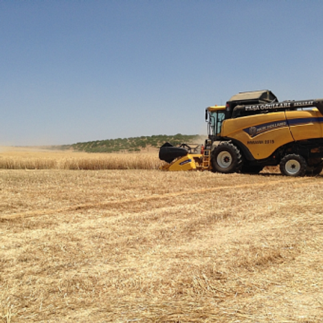 Pudor Ic Ve Dis Ticaret Limited Sirketi