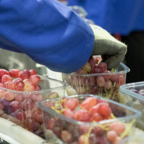 Screen Shot 2022-11-22 at 7.55.08 AM.png