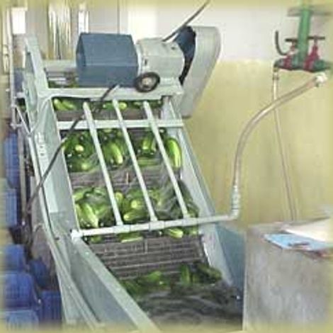 Koeleman India Pvt Ltd - Facility