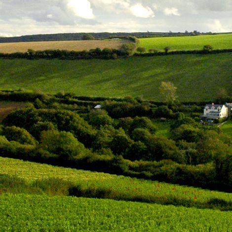 Camel Valley