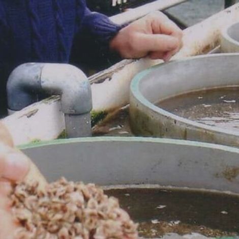 Screenshot 2023-03-30 124421.jpg