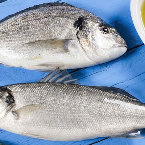 Hatko Aquaculture - Product