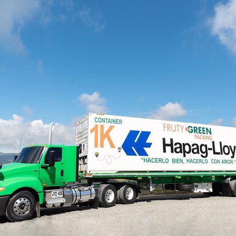 Fruty Green S.A.S. - Logistics