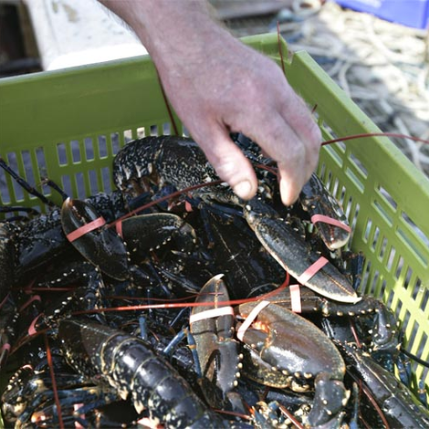 SCOT WEST SEAFOODS LTD