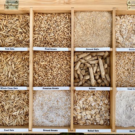 Our Product Variety