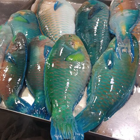 Thompsons Seafood Limited - Products