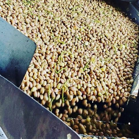 Aro Pistachio - Pistachios