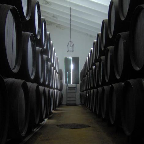 BODEGAS LAGAR BLANCO_Wine_Storage