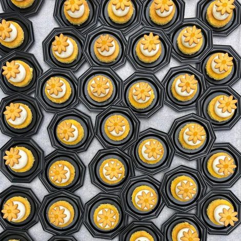 336923090_509228037880889_8123524163500543725_n.jpg