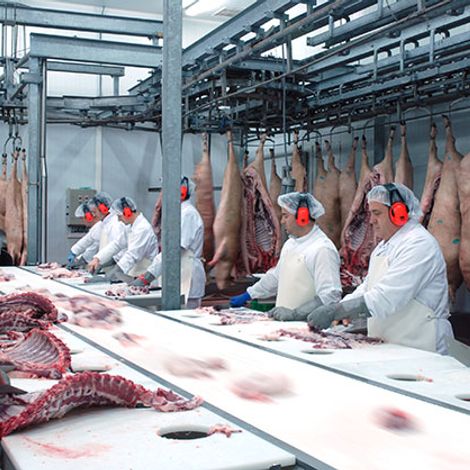 Agroibéricos De Raza, S.L. - Facility