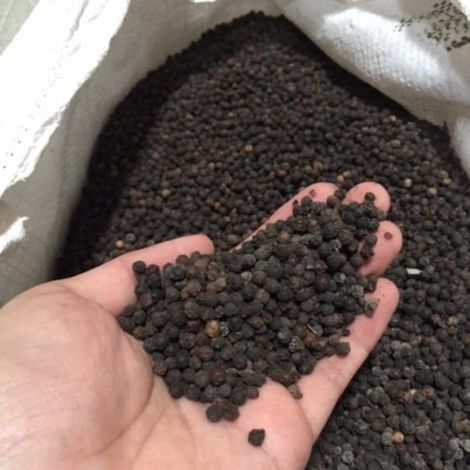 Black Pepper