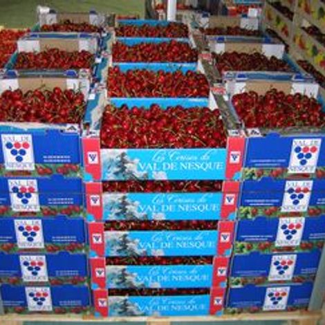 Val de Nesque - Cherries