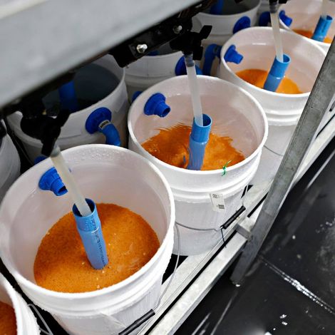 Cooke Aquaculture Scotland Ltd