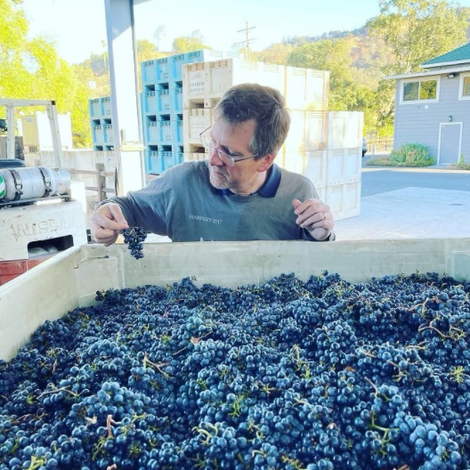 FRIAS Family Vineyard